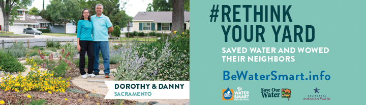 2016-Dorothy-Digital