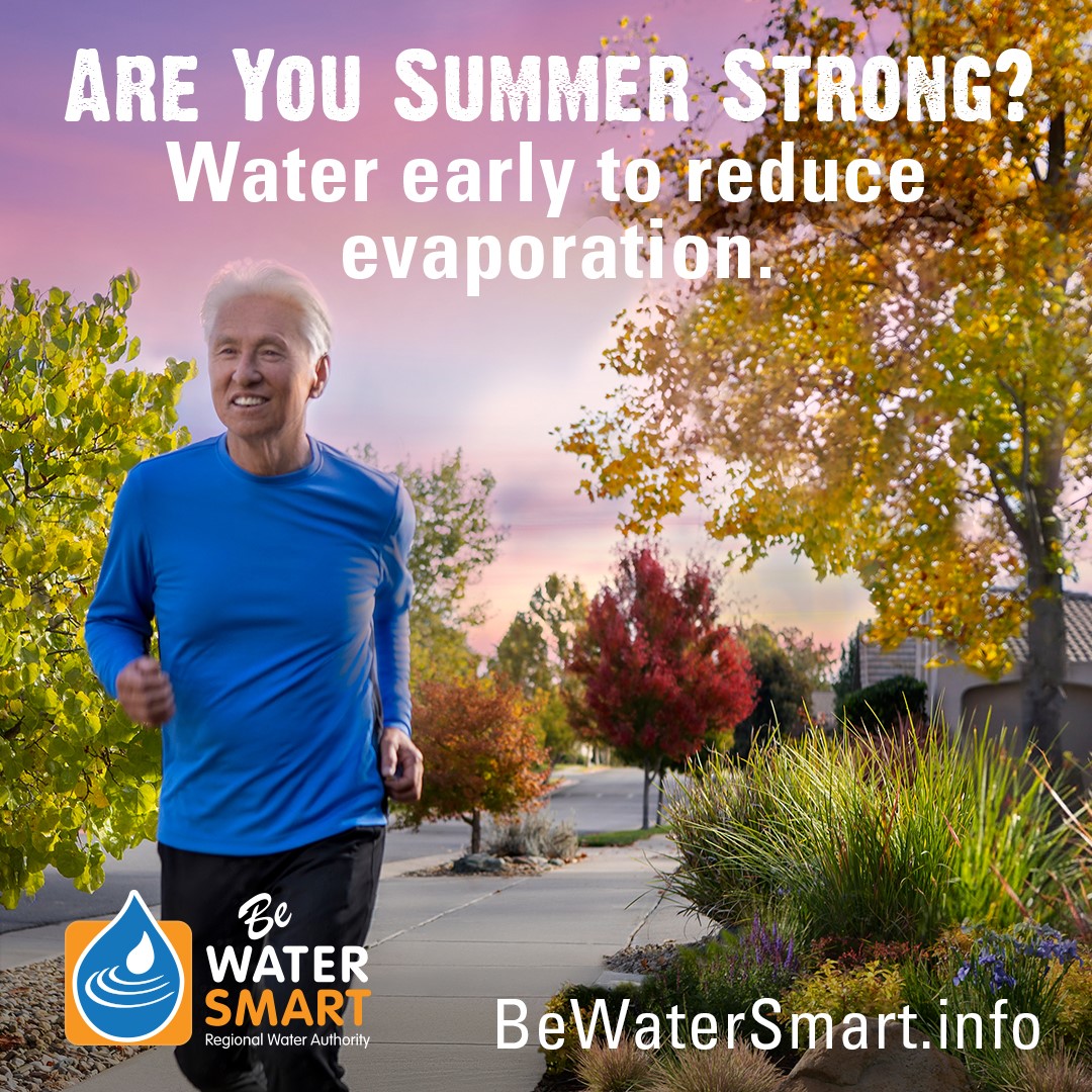 Timing is everything!