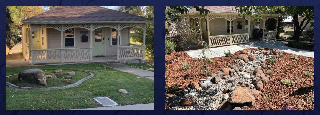 From bland to beautiful – with big water savings, too