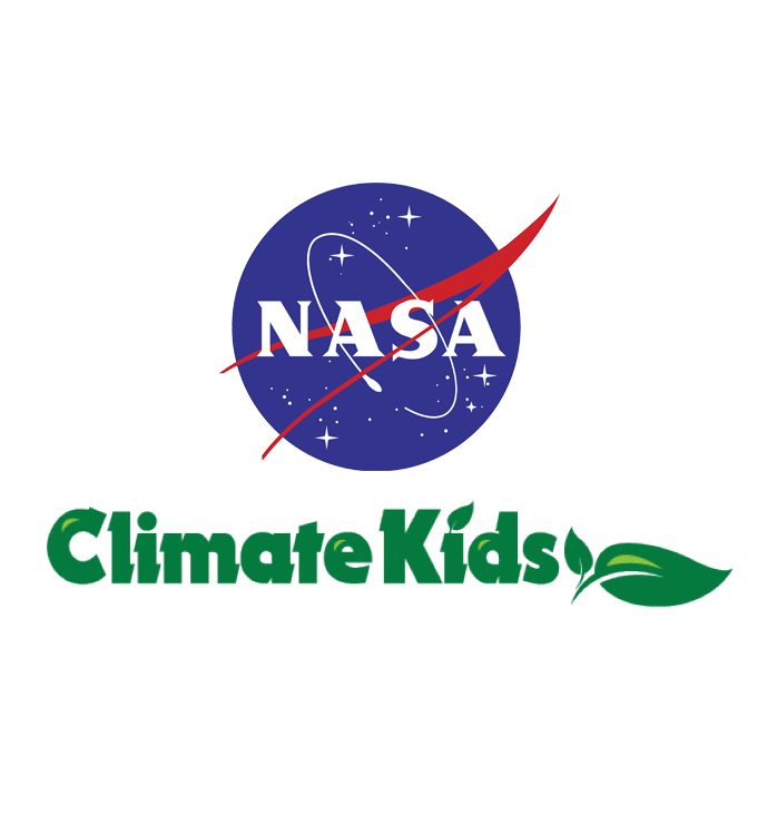 What is the Water Cycle: